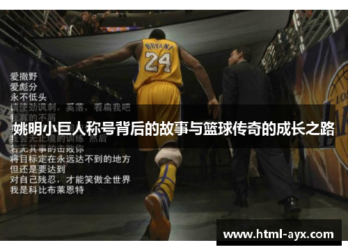 姚明小巨人称号背后的故事与篮球传奇的成长之路
