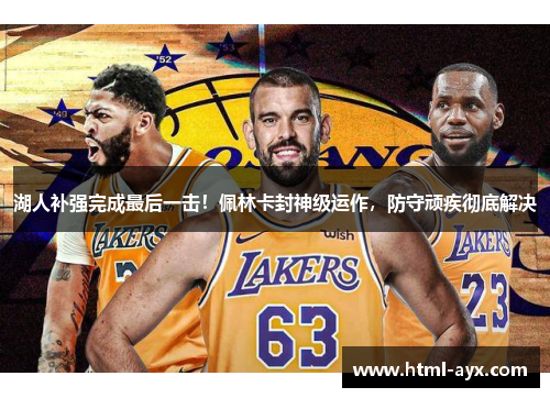 湖人补强完成最后一击！佩林卡封神级运作，防守顽疾彻底解决